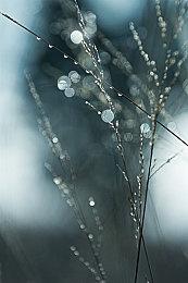 《遗迹2》现已正式推出 Steam特别好评